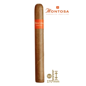 Montosa Churchill