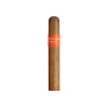 MONTOSA Robusto