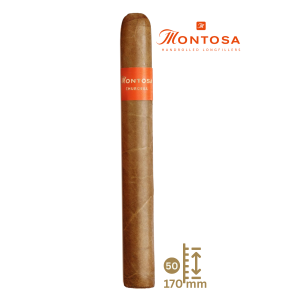 Montosa Churchill