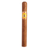 REY DEL MUNDO DEMITASSE